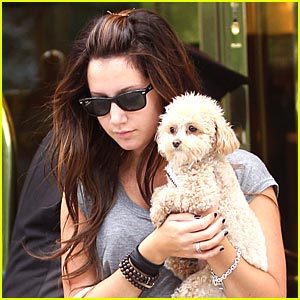 I like to sing and to represent Ashley Tisdale she's cool and super beautiful