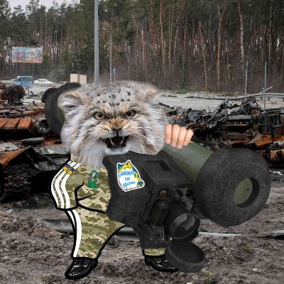 Manool.

Pro-Ukraine. Weird racist manul accounts go fuck yourselves, I'm not one of you and you're not welcome here. Certified rat tickler.