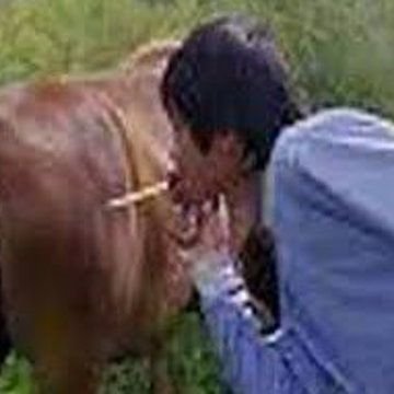 PIart2001's profile picture. ดีครับอ้าย