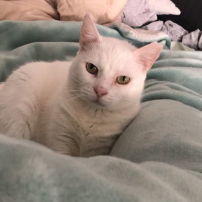 banned420times's profile picture. thoughts and the lack of process that goes on behind them