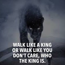 ZubairA54762163's profile picture. Warrior!!