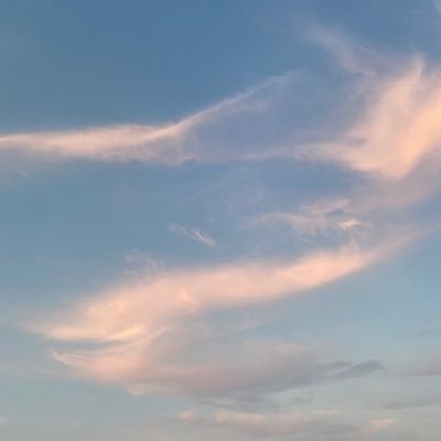 M23089891's profile picture. 