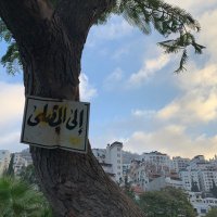 عبد الرحمن محمد (@aboodmarshoud1) 's Twitter Profile Photo