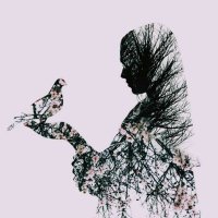 قرآني في قلبي (@qranyfy) 's Twitter Profile