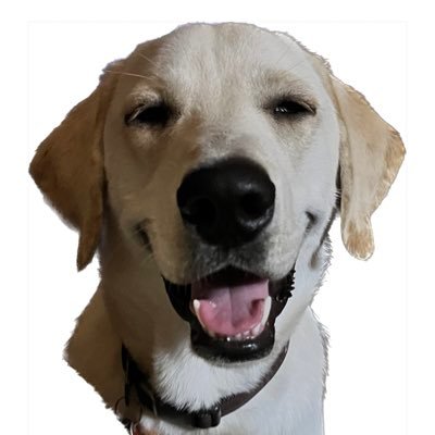 HuckabillyBlue's profile picture. Here for the fun and games. No, not those. I am neither nice nor generous. No fucking DM’s.