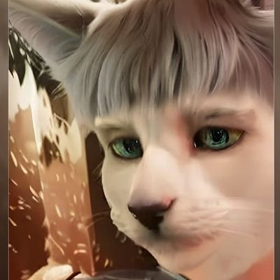 Devin Neko ⬆️さんのプロフィール画像
