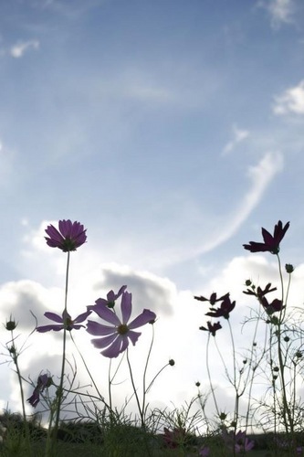 K_HHHH's profile picture. 