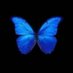 cemil borinli (@borinlicemil) Twitter profile photo cemil borinli (@borinlicemil) Twitter profile photo