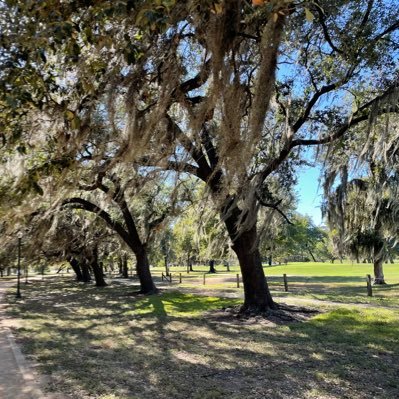 htownbee's profile picture. 