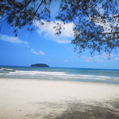 syngfng3's profile picture. 