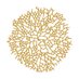 Bolets Peratxa (@boletsperatxa) Twitter profile photo Bolets Peratxa (@boletsperatxa) Twitter profile photo
