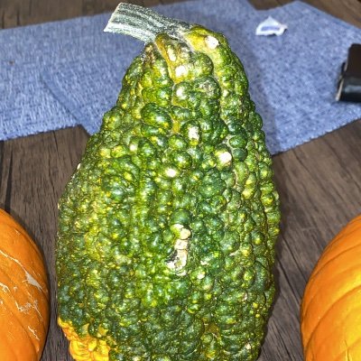 BrettGourdner's profile picture. 