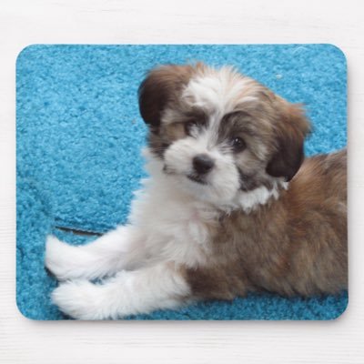 marnie3331's profile picture. 