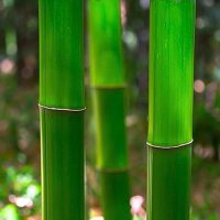 ルーザー (@undertaker_9090) 's Twitter Profile