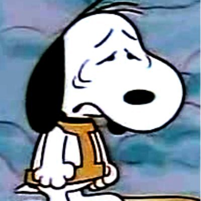 eliiland's profile picture. 