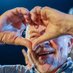 AVEnida PresidenTe LuLa: (@herculano_vboas) Twitter profile photo AVEnida PresidenTe LuLa: (@herculano_vboas) Twitter profile photo