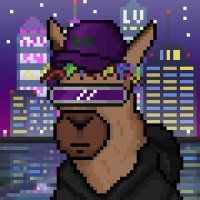 Meow 😺 (@catnotabot) 's Twitter Profile