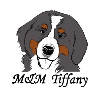 MM_TIFFANY_BMD Profile Picture