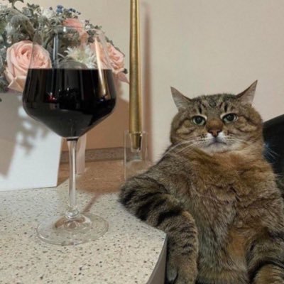 everydayanjali's profile picture. just. tired.