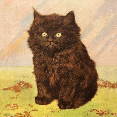 Hi! I'm Molly and I'm interested in feline history and welfare. Owner of 2 amazing FIV+ cats! Header by W. Eugene Smith. Profile pic is a postcard from 1908.