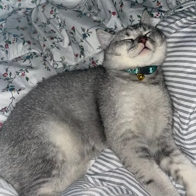 ab_abuuu's profile picture. 라이관링 💙💚💜 박지훈 💜💚💙 23|09|1998