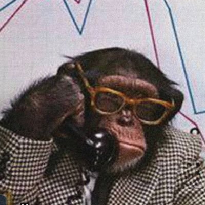 NachoFriendos's profile picture. 