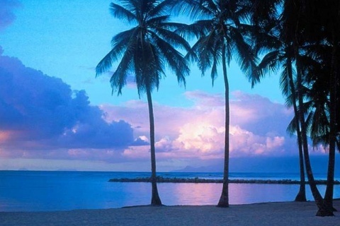 sledhammer's profile picture. 