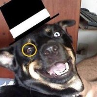 Gabriel Martins (@manomarthas) 's Twitter Profile