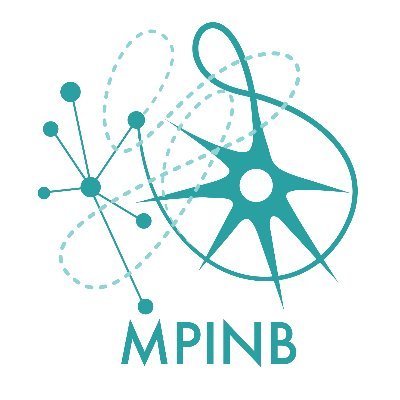 Interdisciplinary #BasicResearch on how the collective activity of #neurons gives rise to the plethora of #animalbehavior.
Imprint: https://t.co/zQbOHlIQ6u