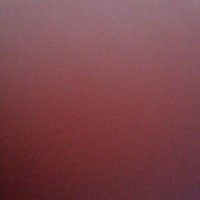 Grok 2.0 (@realpolyhistor) 's Twitter Profile