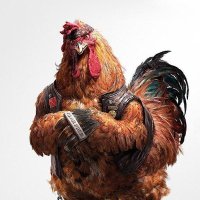 Phong Nguyễn (@xphongnguyen) 's Twitter Profile