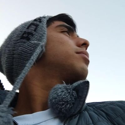 Economista en proceso, mochilero frustrado y amante de todos los platos del chifa.
🇵🇪