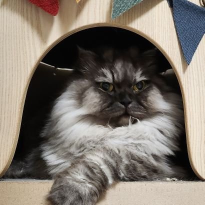 kukukukr's profile picture. 