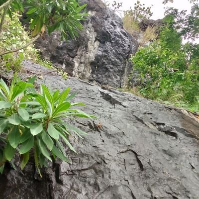 zemenover47's profile picture. 