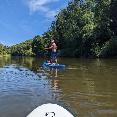 what_theactualf's profile picture. 🏴󠁧󠁢󠁷󠁬󠁳󠁿🇪🇺🇮🇪