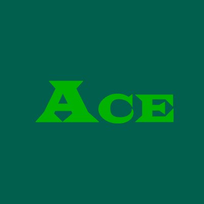 Ace Heat Compression Co.,Ltd. Profile