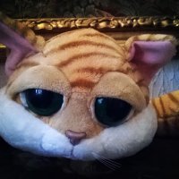 pantoufle pepete (@pepetepantoufle) 's Twitter Profile