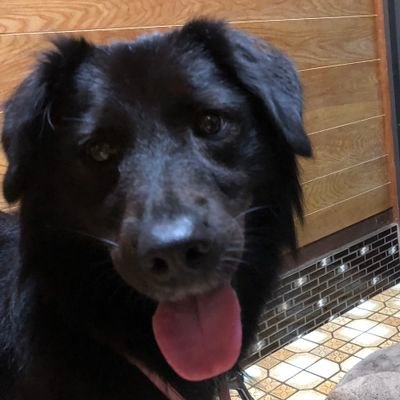 humanscum18's profile picture. 落書きとFAしかないよ
pixiv:https://t.co/s0bRujmra7