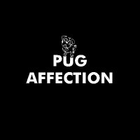 pug_affection(@pug_affection) 's Twitter Profile Photo