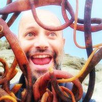 Matteo4Seaweed (@matt_andra) 's Twitter Profile