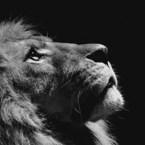 skiyo_skiyo's profile picture. 