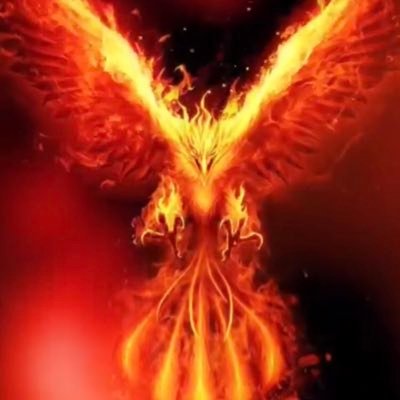 phoenix_f60's profile picture. ققنوس ….