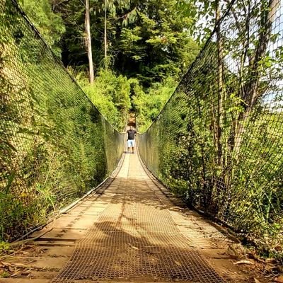 KiikeeUC's profile picture. Ing Constructor . #Viña #LosCruzados  Cato Eres Mi Vida #PeroYoNuncaTeAbandoné