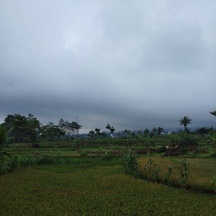 Antik_Bune's profile picture. Carica, It's really Delicious.... Taste it ...