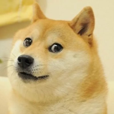 Dogecoin to the moon