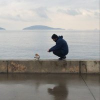 Recep Savdic (@resavdic) 's Twitter Profile