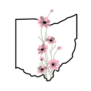 Ohio Women's Alliance (@ohwomenalliance) 's Twitter Profile