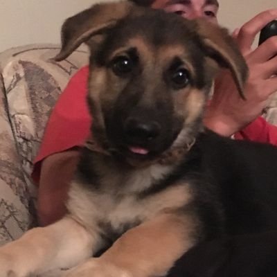 MGodfrey1987's profile picture. 