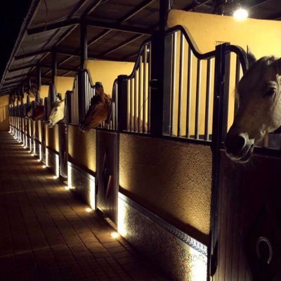 Rr_alshreem's profile picture. سبحان الله وبحمده … سبحان الله العظيم .✨🕊