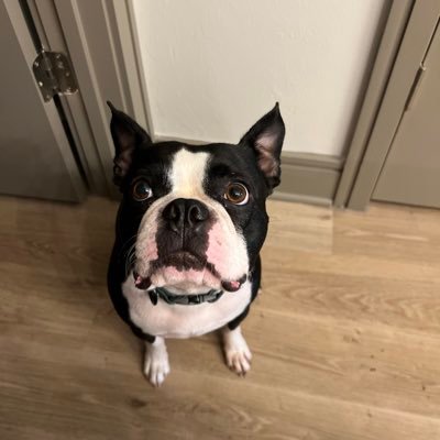 Gator_Bloke's profile picture. Firefighter Paramedic, English transplant living in SW FL,